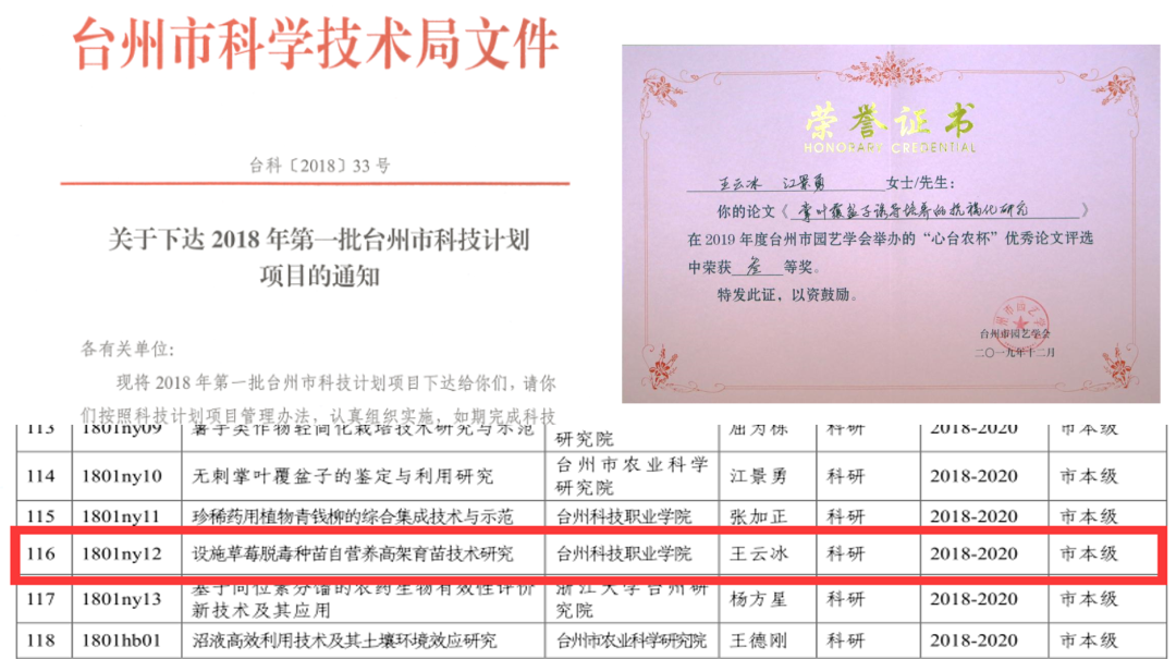 他.png