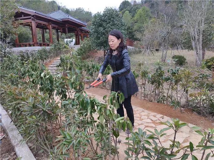 微信图片_20191123120544-2.jpg