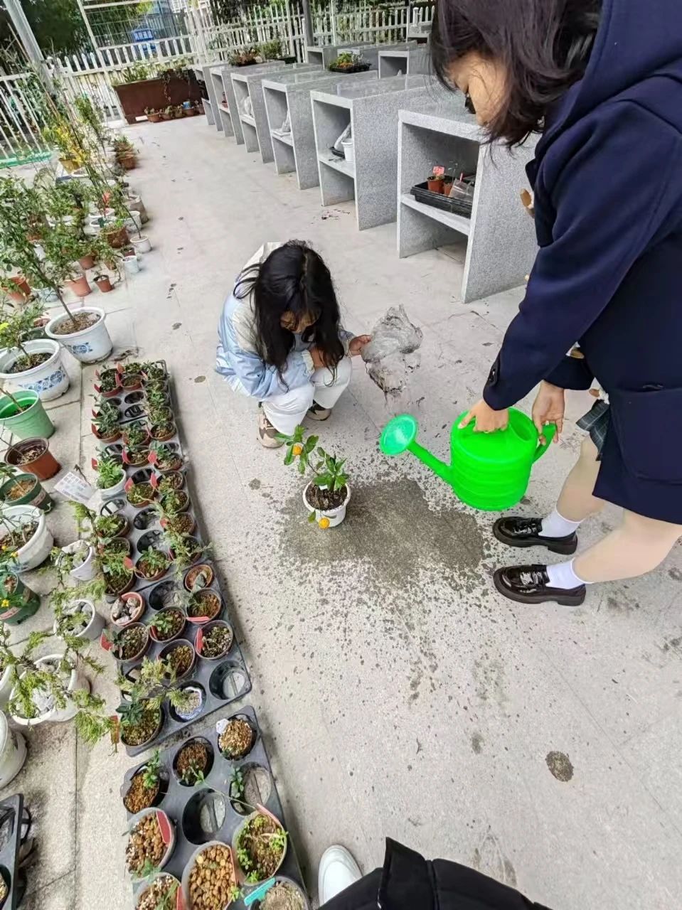 微信图片_20250324184433.jpg