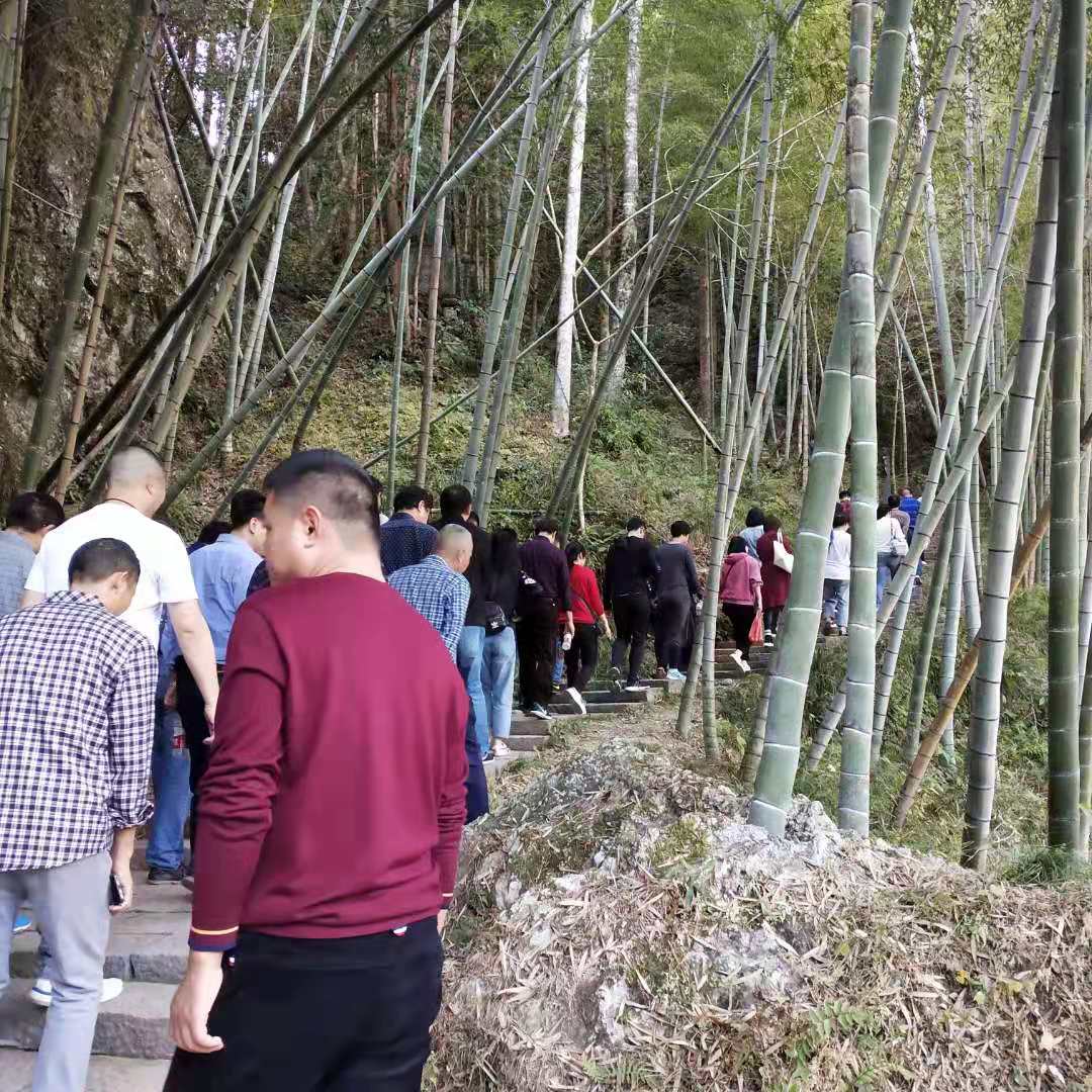 微信图片_20191118142500.jpg