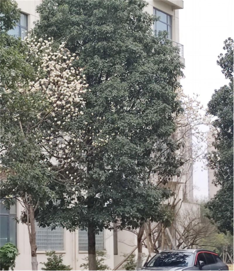 微信图片_20250324205936.png