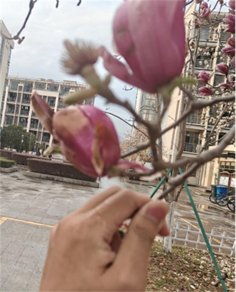 微信图片_20250324205948.png
