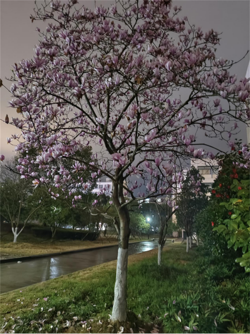 微信图片_20250324210109.png