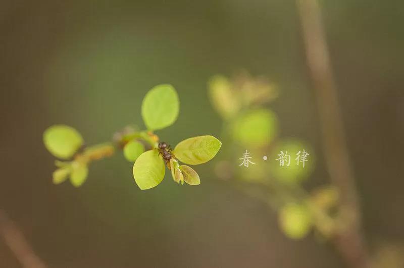 微信图片_20210303110001.jpg