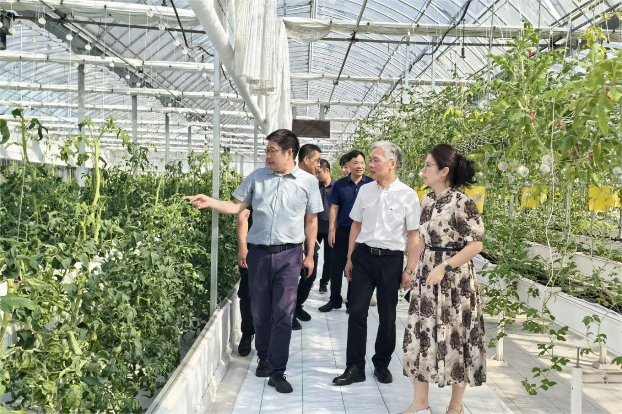 图片 13(1).png 图片 13(1).png
