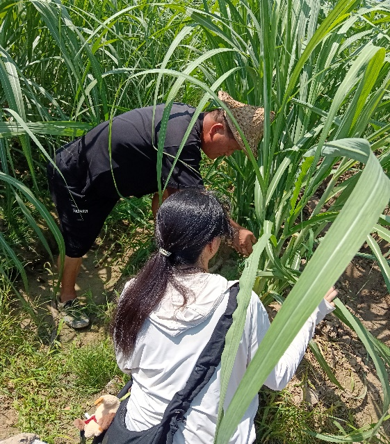 微信图片_20260707135622.png 微信图片_20260707135622.png