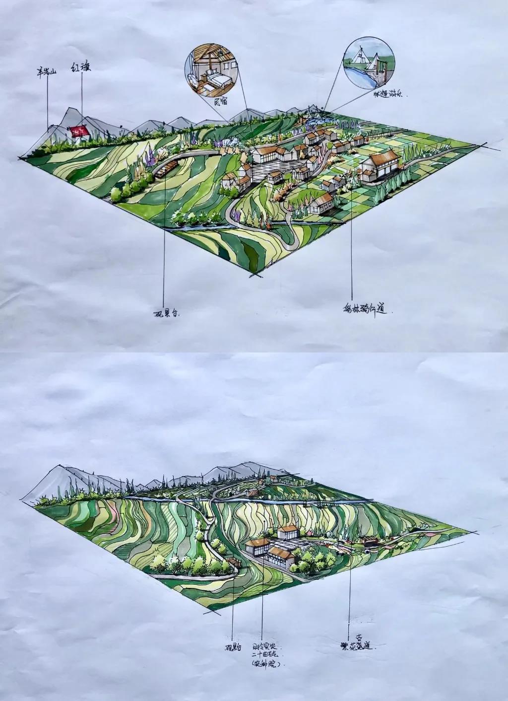 12.jpg 12.jpg