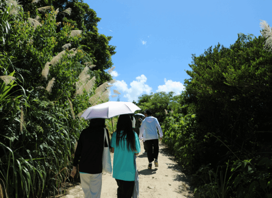 微信图片_20250708201003(1).png 微信图片_20250708201003(1).png