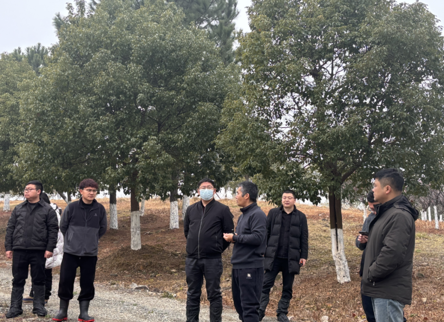 微信图片_20250401185141.png