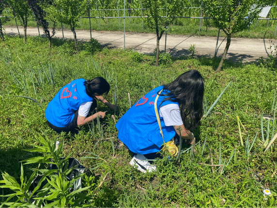 微信图片_20220718133709.png 微信图片_20220718133709.png
