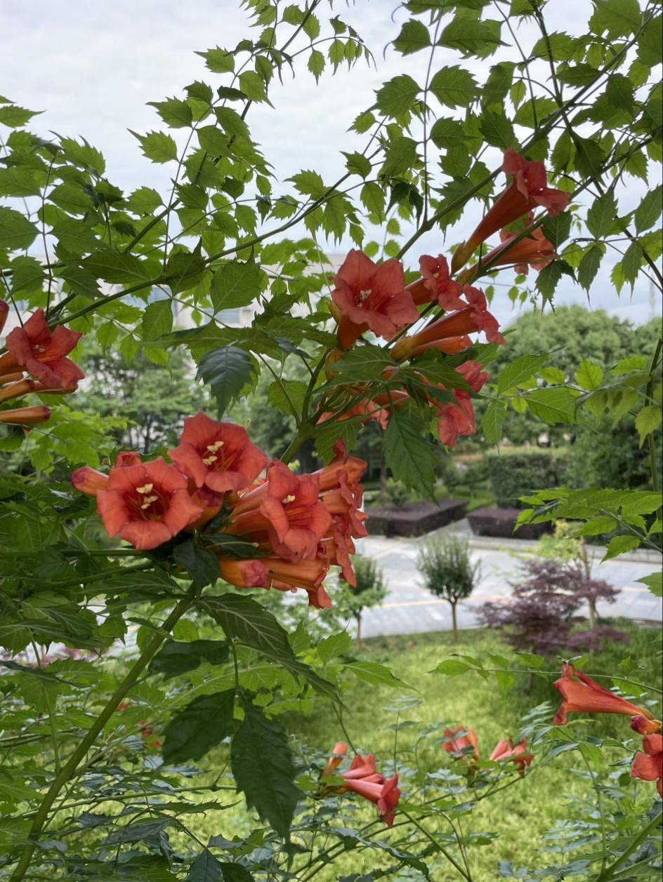 图片13(1).jpg 图片13(1).jpg