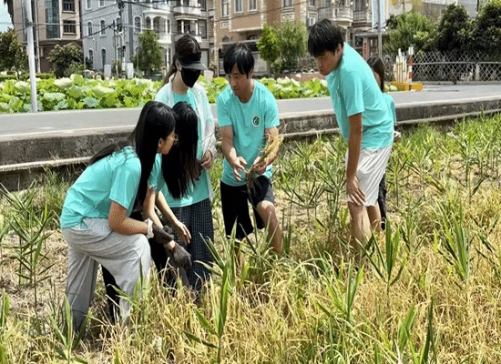 微信图片_20250702205330.png 微信图片_20250702205330.png