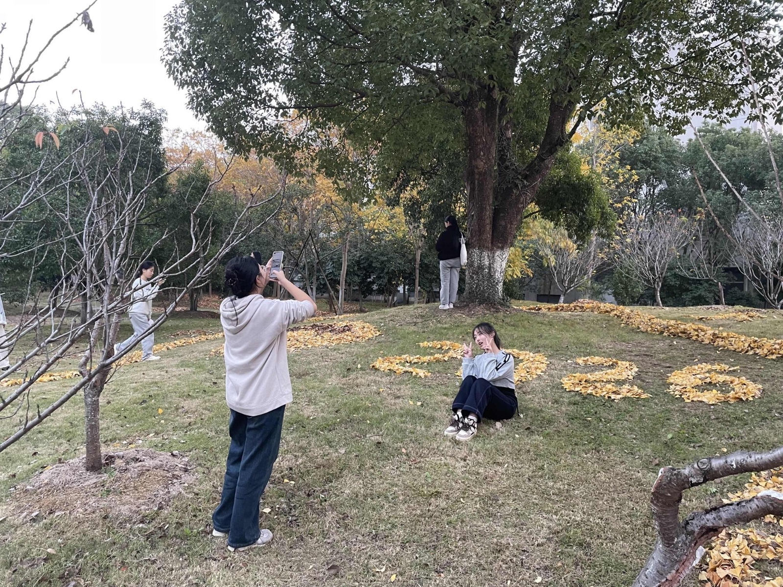图片 7.jpg