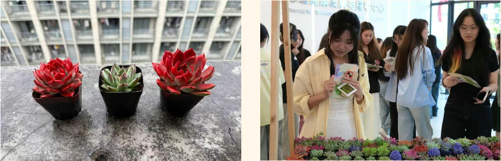 微信图片_20250604084324.png 微信图片_20250604084324.png