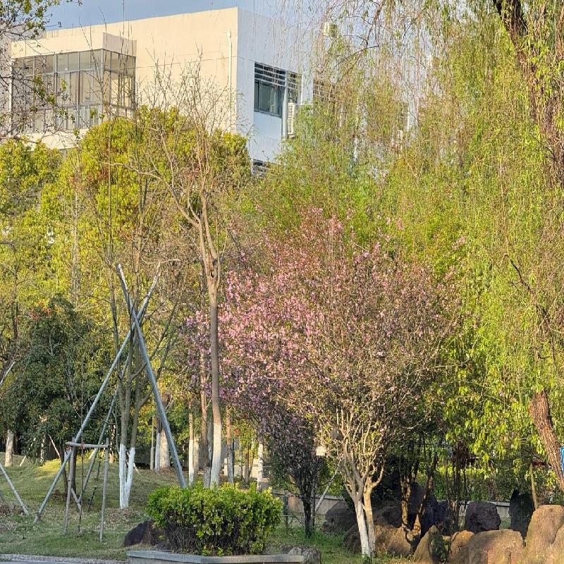 图片3.jpg 图片3.jpg