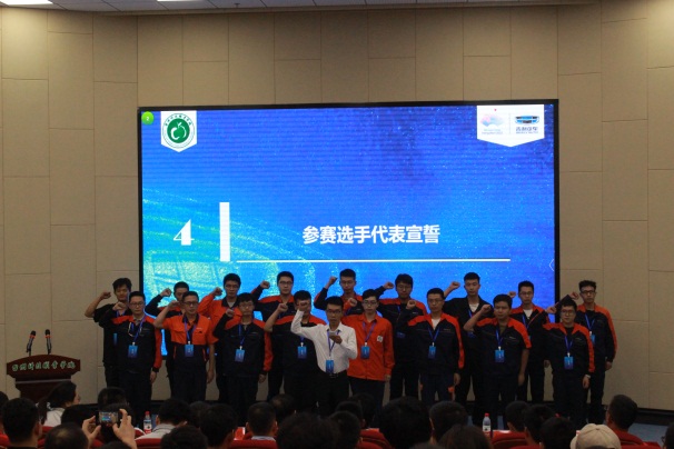 3131212.jpg 3131212.jpg