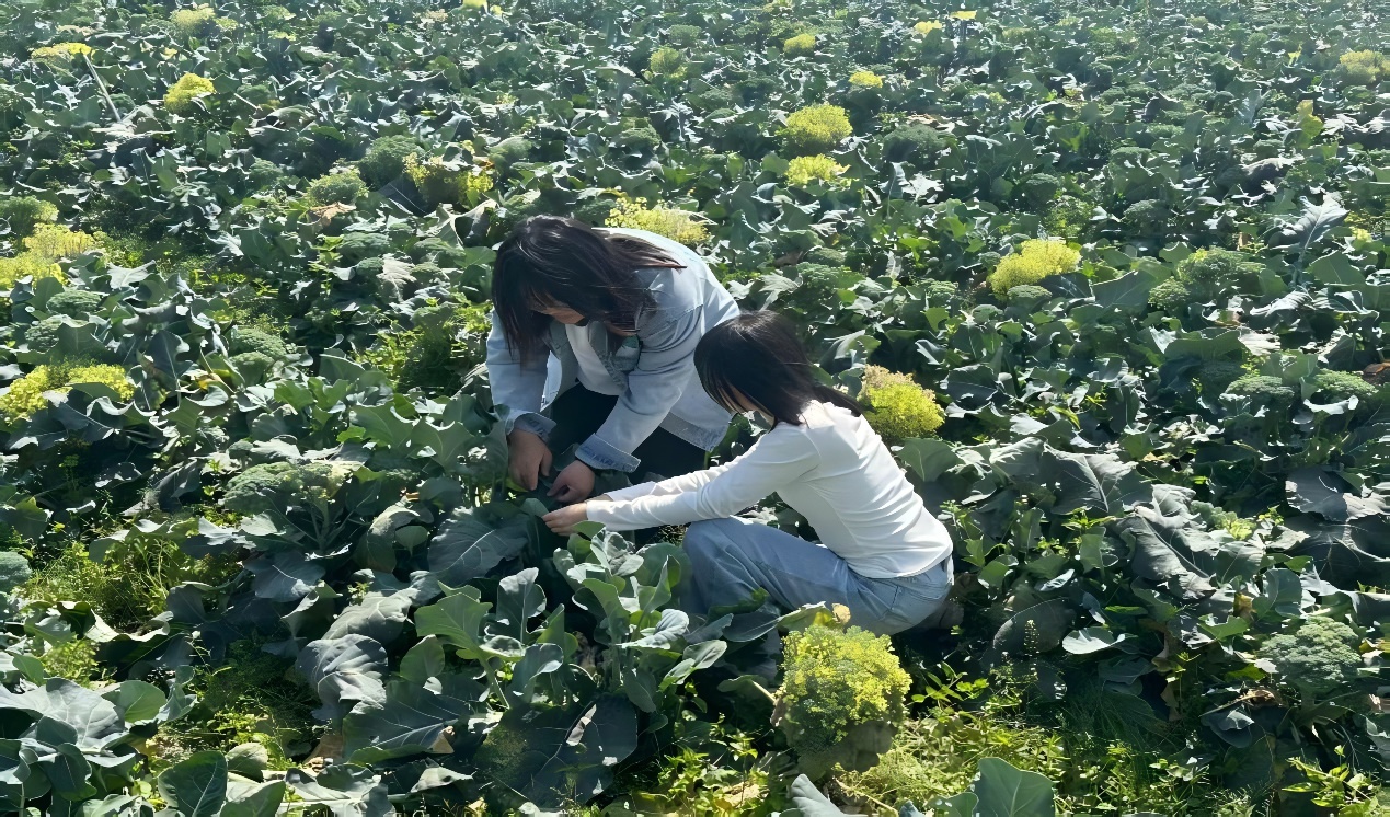 微信图片_2026-06-09_201505_016.jpg 微信图片_2026-06-09_201505_016.jpg